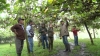 La prefecta subrogante de Imbabura, María Gabriela Jaramillo, visita una de las granjas en donde se cultiva granadilla en la comunidad Cazarpamba.