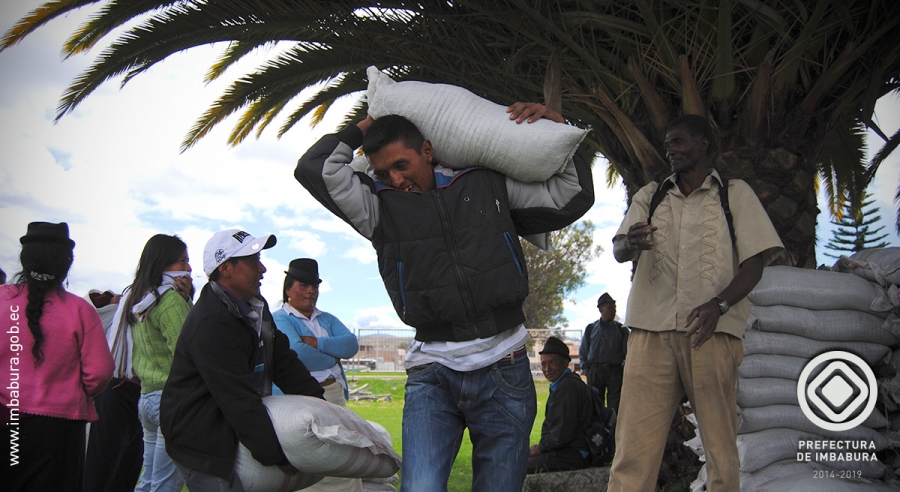 Los productores de los centros asociativos de comercialización reciben el abono para cultivar sus tierras.