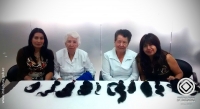 Voluntarias de Solca – Ibarra entregando las donaciones de cabello a las autoridades del Patronato Provincial.