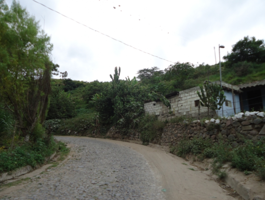 La vía Chaltura – Santiago del Rey conecta a un sector caracterizado por la abundante producción agrícola.