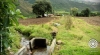 La rehabilitación y mejoramiento de la acequia “Peribuela”, en la parroquia Imantag, cantón Cotacachi, forma parte de las inversiones en el área de riego.