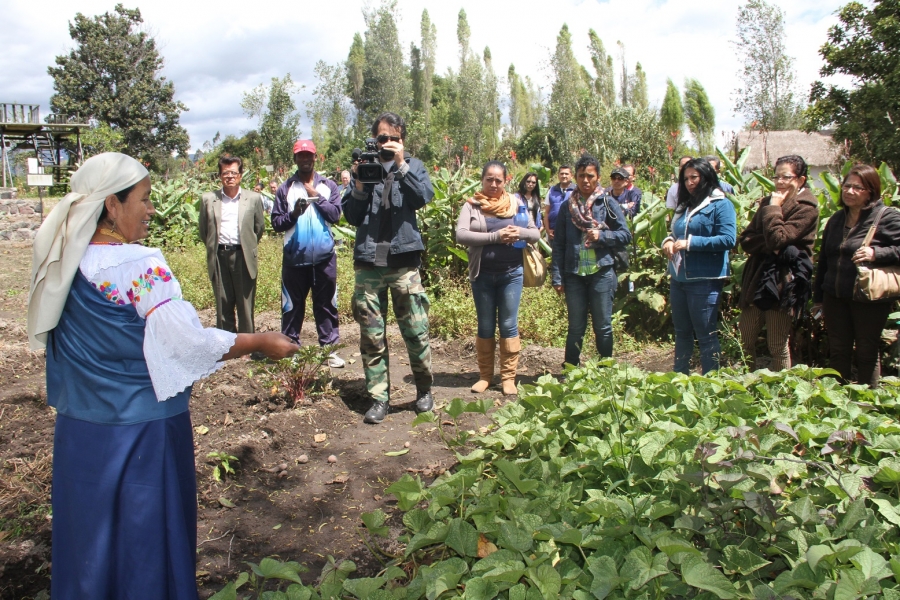 Exposición de plantas medicinales en el Jardín Etnobotánico, una de las paradas de la Ruta del Conocimiento.
