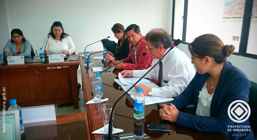 Las autoridades del Consejo Provincial durante la sesión extraordinaria en la que se aprobó la entrega de las condecoraciones.