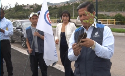 Autoridades de la Prefectura en la plantación de los árboles en el paso vial.