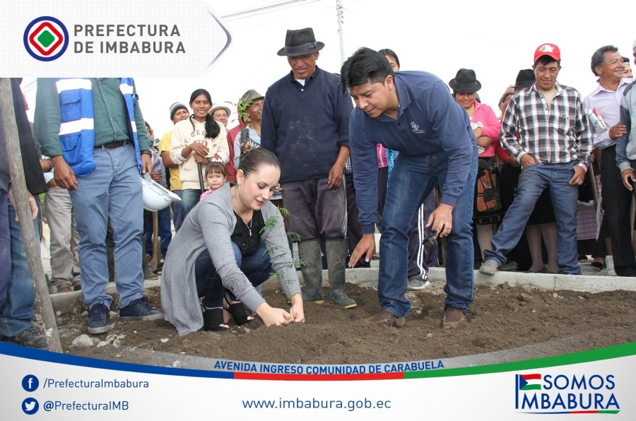 La viceprefecta María Gabriela Jaramillo participa en la minga de siembra de plantas ornamentales en el parterre de la avenida Imbabura. 