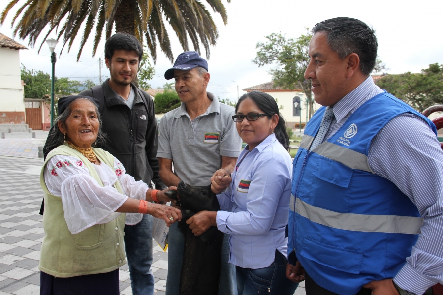 Técnicos de la Prefectura y autoridades del Gobierno Parroquial de Tumbabiro entregaron la cría de cerdo a Robertina Lima, beneficiaria del proyecto. 