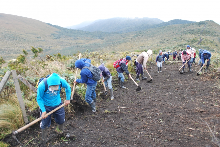 Los comuneros participan activamente en los trabajos de mantenimiento del camino cortafuegos, en Nueva América, cantón Pimampiro. 